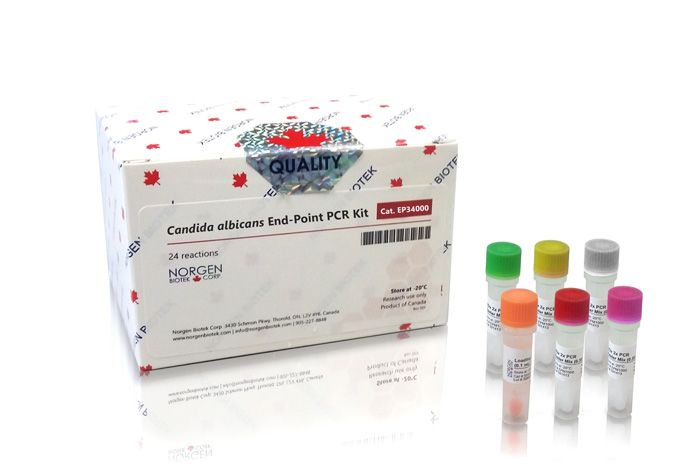 Norgen Biotek Candida albicans Detection Kit (24 reactions)
